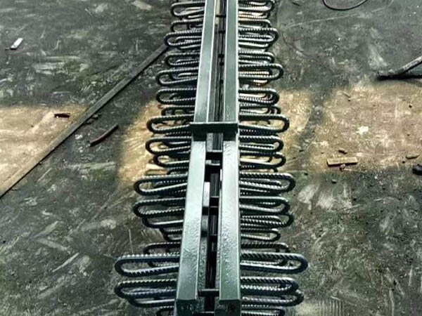 F40、60、80型橋梁伸縮縫