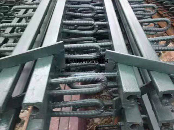 Z40、60、80型橋梁伸縮縫